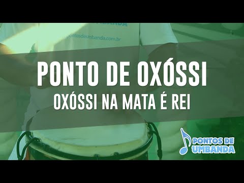 Capa do vídeo: Oxóssi na mata é rei
