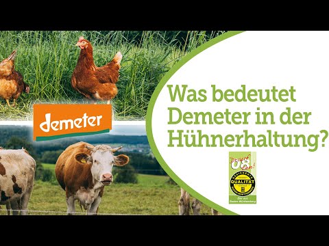 Demeter-Hühnerhaltung: richtig Bio und mit viel Engagement fürs Tierwohl