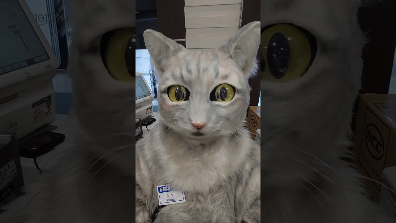 草津近鉄での出店は6日目です✨明日は最終日となりました✨