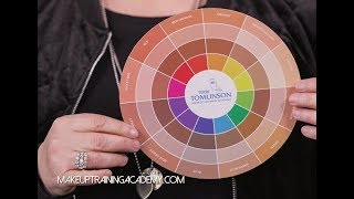 The Flesh Tone Color Wheel by Terri Tomlinson