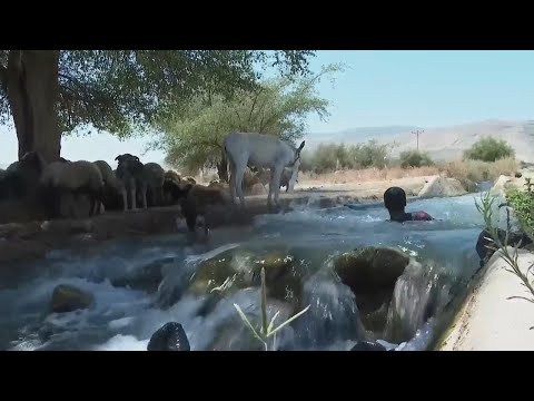 As Israeli settlements thrive, Palestinian taps run dry. The water crisis reflects a broader battle