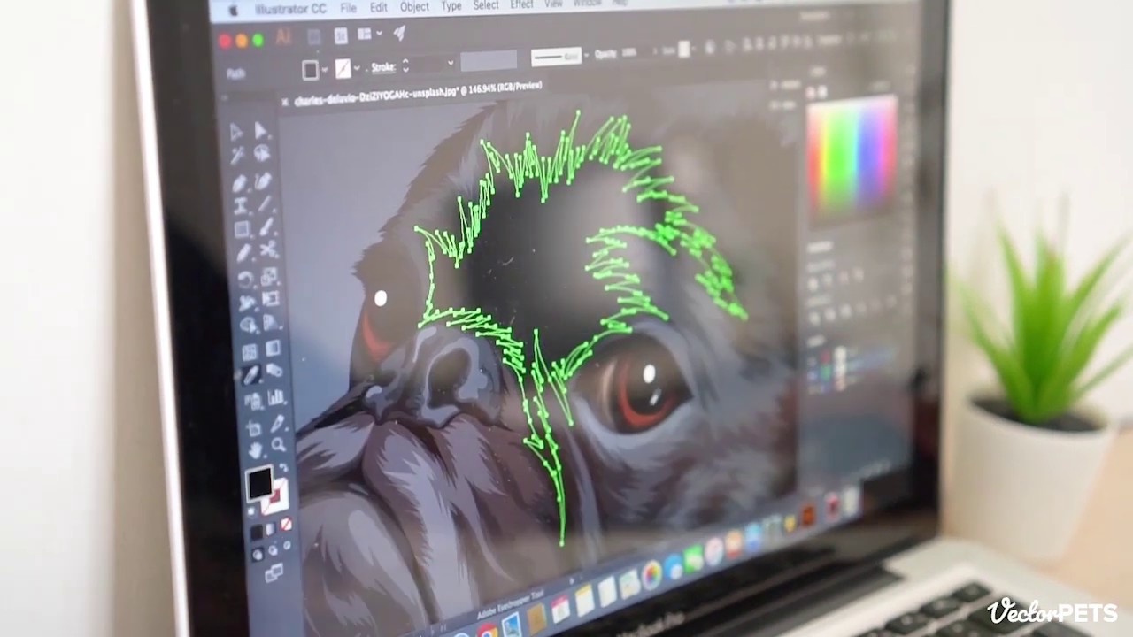 Vector Pets - Handmade Pet Illustrations
