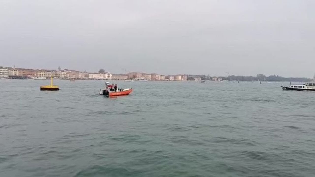 Il delfino di Venezia allontanato dal bacino di San Marco