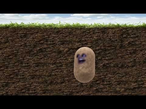 Wadde hadde dudde da (ESC 2000) - Stefan Raab | Die singende Kartoffel