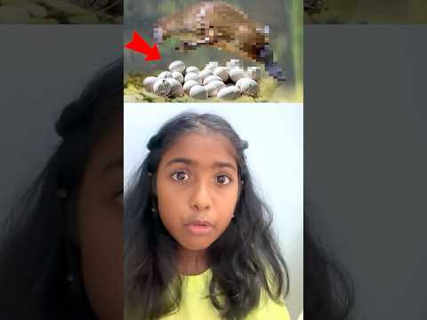 🤯 இப்படி ஒரு animal லா? 😳 Jr.GK & Mr.GK