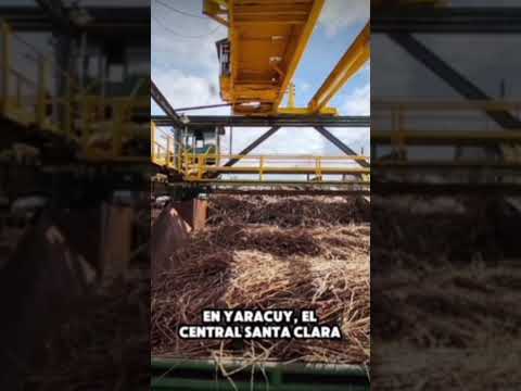 Los centrales azucareros de Yaracuy, Sucre y Zulia se renuevan dentro del Plan Agroindustrial 2026.