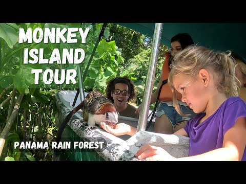 Rain Forest & Monkey Island Tour | New Leaf Panama Tours