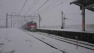 大雪の中を走り抜ける貨物 近江高島にて