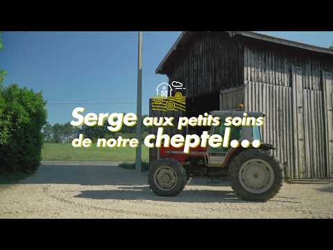 🐂 Plongez en immersion dans notre élevage de boeufs gras en pays bazadais...