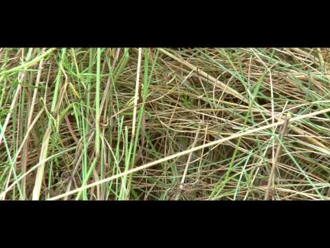 Film dla pensjonatu Halinówka