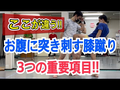相手のお腹の奥まで突き刺さる膝蹴りを打つために必須な3つの項目!!