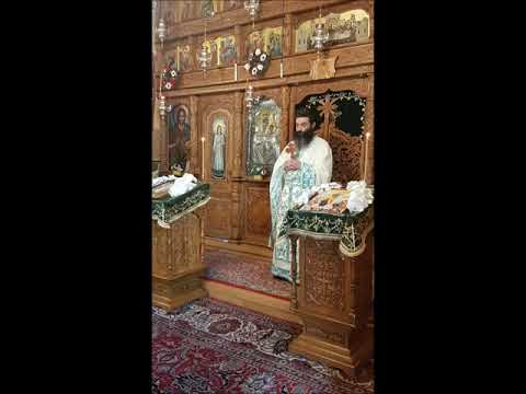 20210425 NICOLAE BALASOIU – INTRAREA DOMNULUI IN IERUSALIM   DUMINICA 6 DIN POST – A FLORIILOR