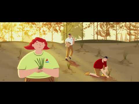 Welcome Home, Red-cockaded Woodpecker – 2D Animation Corporate Film | Georgia Power