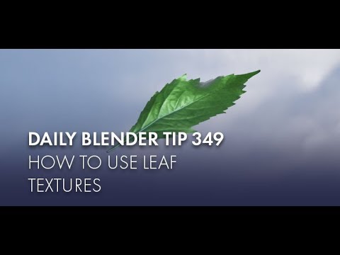 Daily Blender Tip 349 - How to use free leaf textures and set up translucency (Blender 2.8)