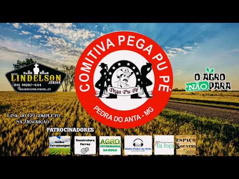 CD - COMITIVA PEGA PU PÉ DE PEDRA DO ANTA - MG (DJ LINDELSON JÚNIOR)