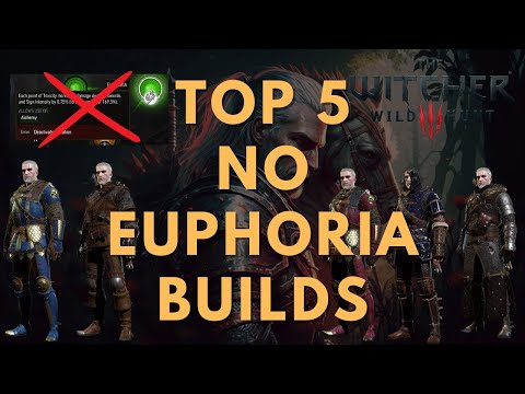 Witcher 3: TOP 5 NO Euphoria Next Gen Builds