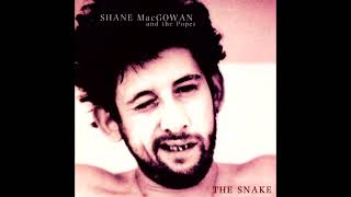 Shane MacGowan and the Popes - That Woman&#39;s Got Me Drinking (1995)