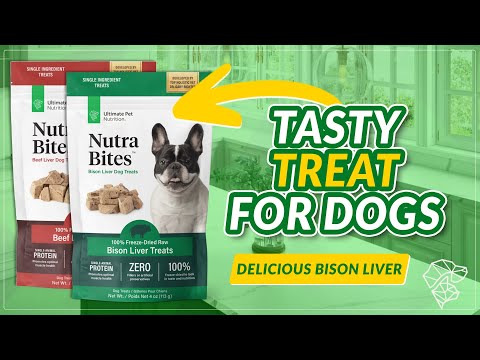 Dogs All Over the World LOVE These Delicious Treats | Nutra Bites