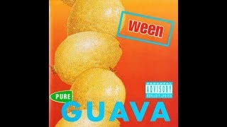 Ween - Mourning Glory (Chiptune Remix)