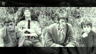 The Grass Roots - Baby Hold On [HQ Audio]
