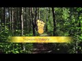 Our 7 Ojibway Teachings: thumbnail 2