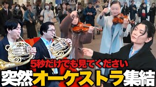 Download lagu 【神回】突然プロ奏者が続々と現れ『ガチオーケストラ』演奏したら街が大パニックwww【チャイコフスキーピアノ協奏曲第1番】 mp3