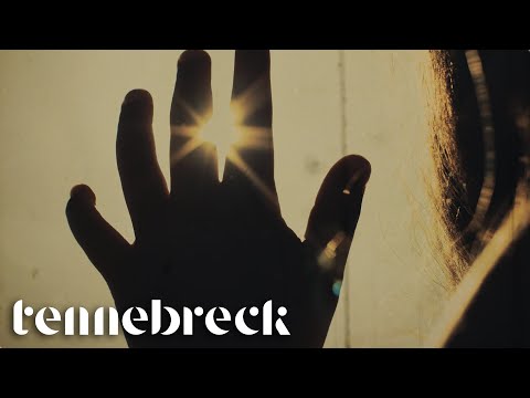 Tennebreck & Disco Biscuit x Lady Gaga - Hold My Hand | Remix