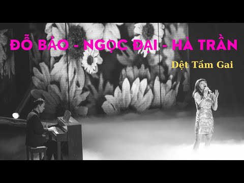 Dệt Tầm Gai | Ngọc Đại | Đỗ Bảo | Hà Trần | Sao Mai Band |