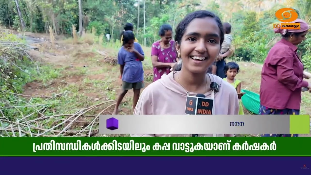 ഇടുക്കിയുടെ സ്വന്തം കാർഷികോത്സവമാണ് കപ്പവാട്ട് | Idukk