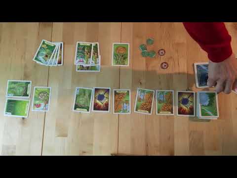 Morels Foray Video Rulebook: The Cards