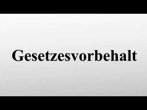 Gesetzesvorbehalt