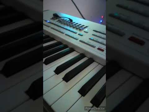 korg pa2x turk bulgarien