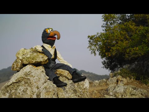 Gonzo Performs "I'm Going to Go Back There Someday"