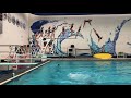 March 2019 Video- Practice/ Chicago Dive Club 16-18 JO Meet