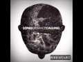 Long Distance Calling- Waves (Without Intro ...