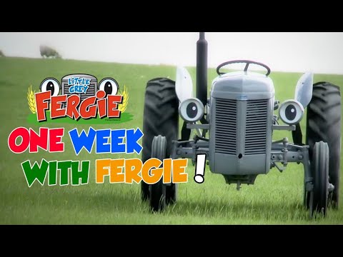 A Week with Fergie ! (Monday to Sunday) - Film | Little Grey Fergie