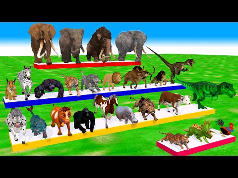 Incredible Animals Race vs Dinosaurs vs Prehistoric Mammals Speed Race Run: Who Will Win ARBS #2026