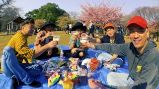 ドンキ×DOBERMAN INFINITY「ドンキでお花見DO PARTY！！long  ver.」