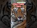 5 most popular Tigers India 2025 | Chota Matka | Hercules Biggest Tiger | Bandhavgarh | Kaziranga |