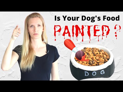 Is Your Dog's Food PAINTED? What Food Dyes May Do To Your Dog