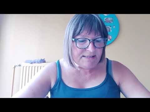 Ik lees 'de meesterdief'