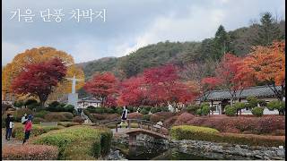 차박Vlog.20 l 서울 근교 단풍 명소에 단풍도 구경도 하고 차박도 하고 l 가을 단풍 여행 l 솔로 차박 캠핑 l 스텔스 차박 l 차박여행 l BHC치킨 l 23.11.9