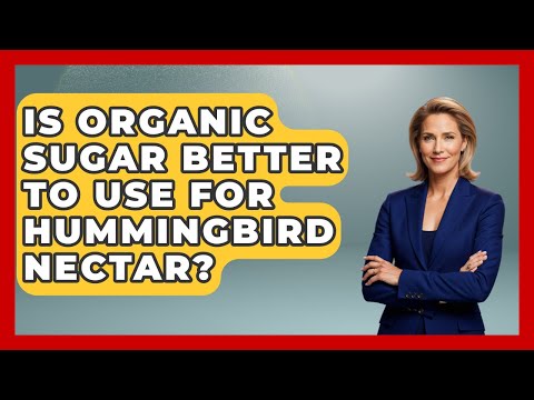 Is Organic Sugar Better To Use For Hummingbird Nectar? - Bird Watching Diaries