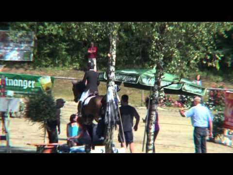 Holsteiner, Quintero x Ronald, S* mit Stechen