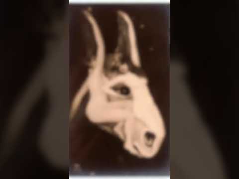 #3dillusion #opticalillusion #trendingshorts #illusion 😯😯#painting #art #shorts #viralvlogs 😯😯