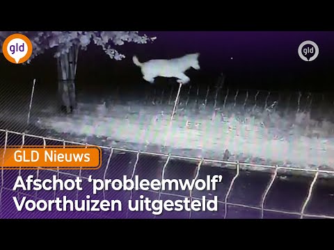 GLD Nieuws 19 september 2025