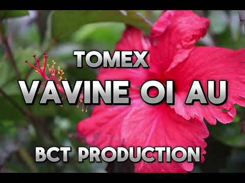 VAVINE OI AU - by TOMEX [PRODUCED BY DIBZ]