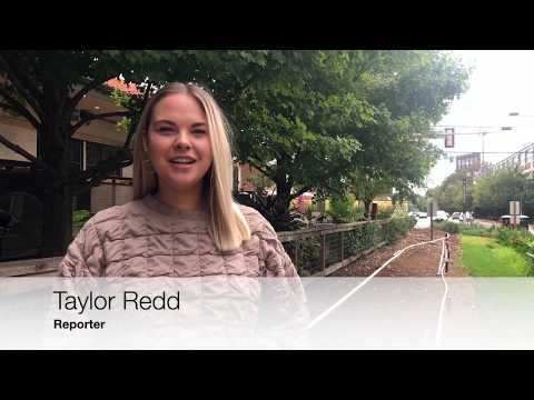 Social Media Travel Trends