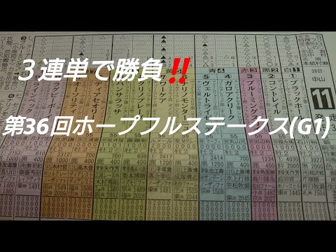 第36回ホープフルステークス(G1)11R芝2000 中山 2019.12.28 予想