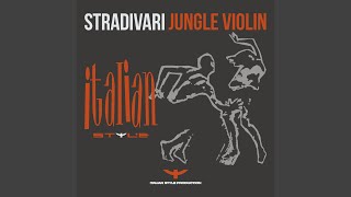 Jungle Violin (Wonderful Land Mix)